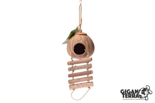 CASA DE COCO COM ESCADA - 12x12x4 CM