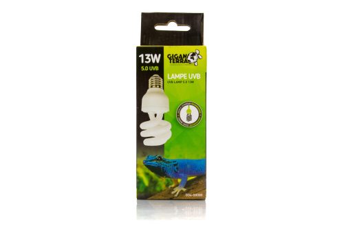 LÂMPADAS FLUO COMPACT 5.0