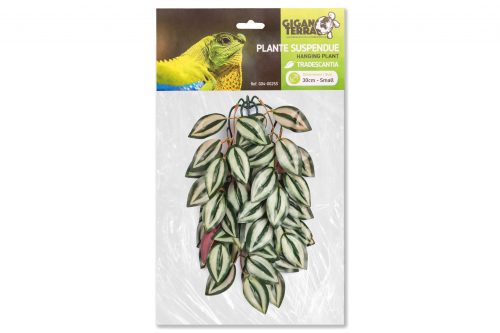 PLANTA DE SUSPENSÃO 2 - TRADESCANTIA