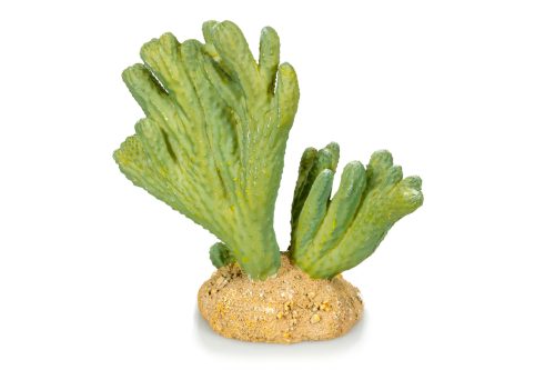 CATO 3 - 13x6.5x13 CM