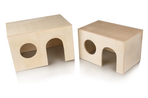 BONGO - WOODEN HOUSE