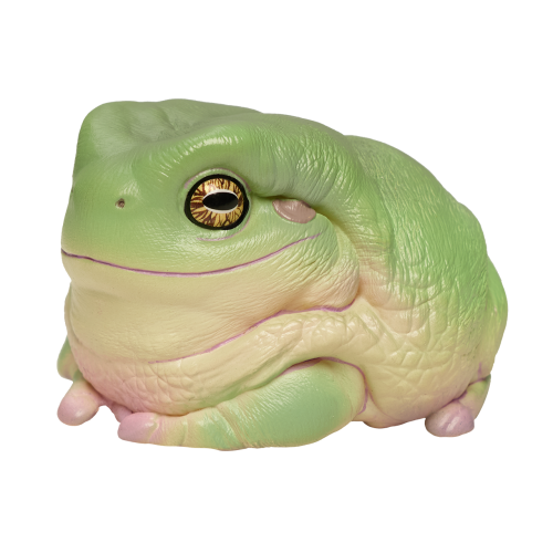 Litoria Caeruela – Special edition 