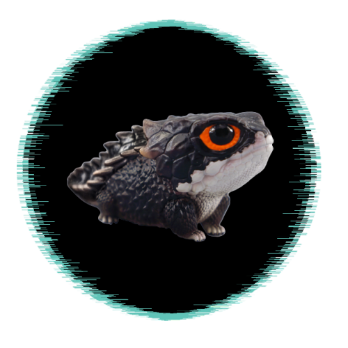 Tribolonotus gracilis