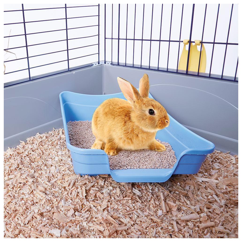 TOILETE POLLY - Image 2