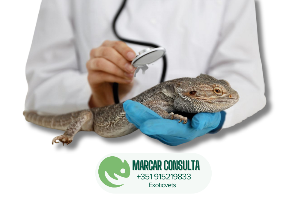 Veterinário ao Domicilio